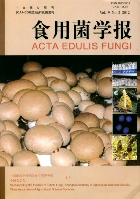 ʳþWՓĶX